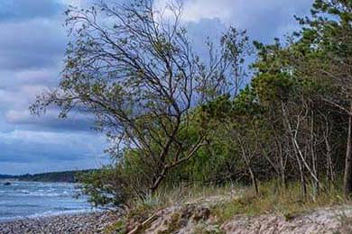 川崎前锋锋线搭档表现亮眼，川崎前锋分析