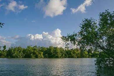 亚洲女子篮球锦标赛落幕，冠军花落哪家？，亚洲女子篮球排名