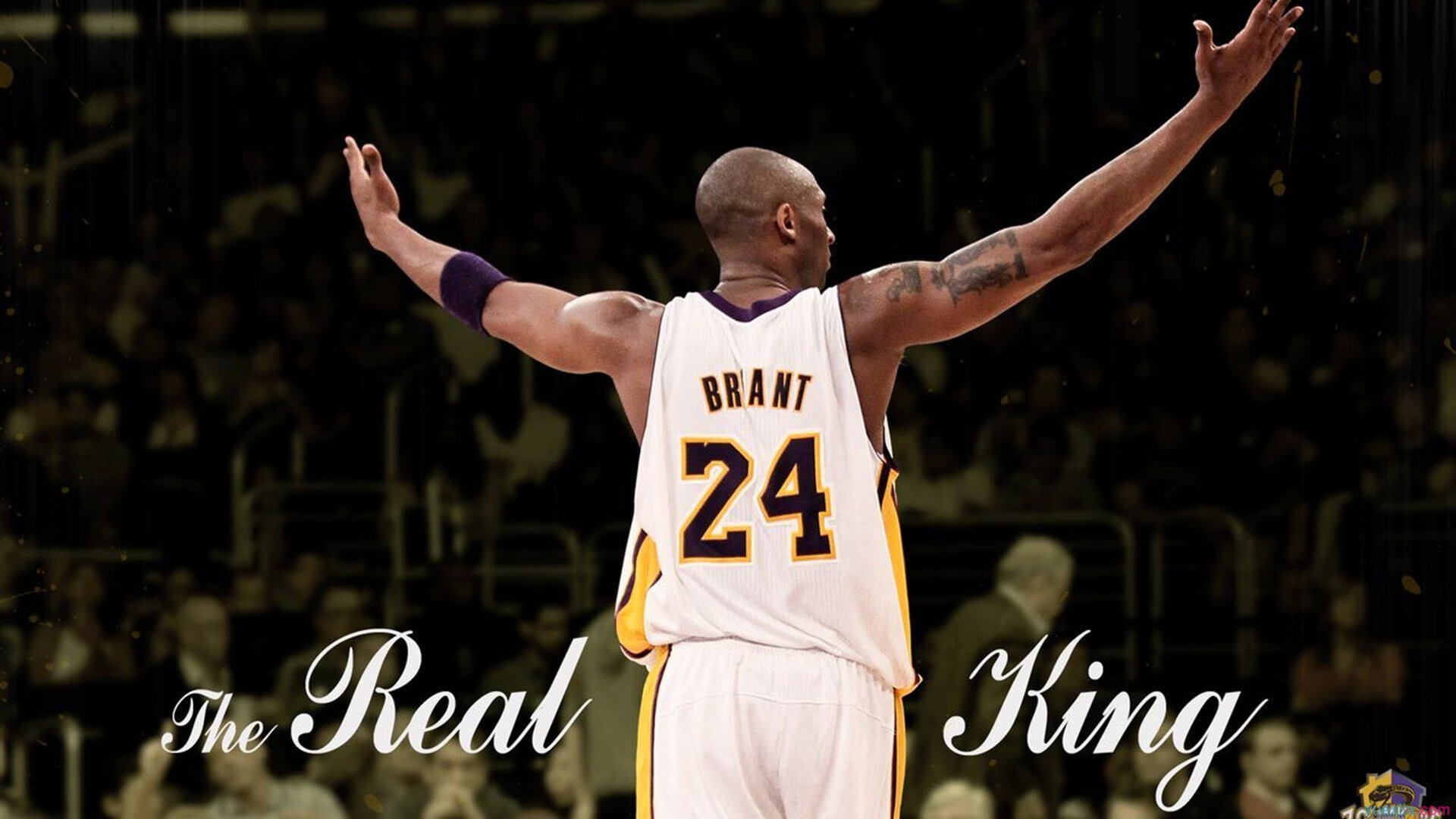 2016年季后赛第七场：库里的“远距离绝杀”点燃全场！，16年总决赛第七场库里数据